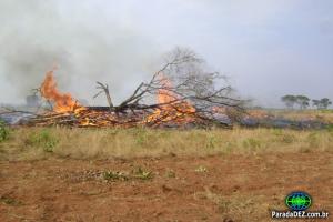 Produtor é multado por desmatamento e incêndio em Cassilândia