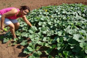 Agricultura familiar tem primeiros interessados em adesão