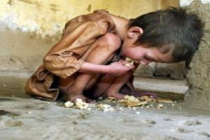 Dia Mundial da Alimentação na praça da república