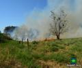 Incêndio nas imediações do CAP