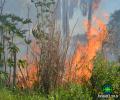 Incêndio nas imediações do CAP